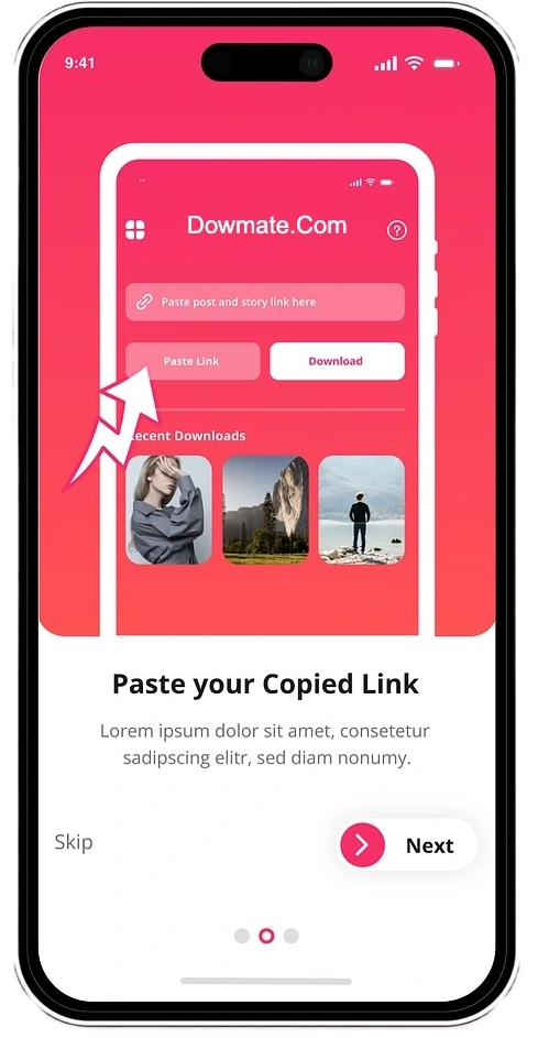 paste insta video url